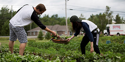 home_communitygarden copy